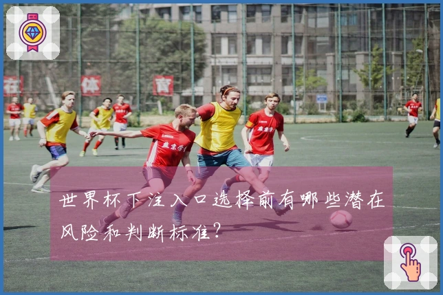 世界杯下注入口选择前有哪些潜在风险和判断标准？