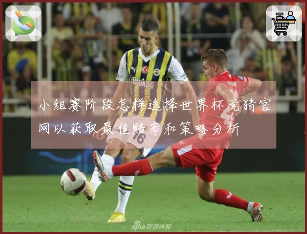 小组赛阶段怎样选择世界杯竞猜官网以获取最佳赔率和策略分析