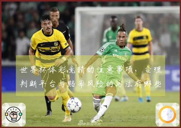 世界杯体彩竞猜的注意事项，合理判断平台与赔率风险的方法有哪些？