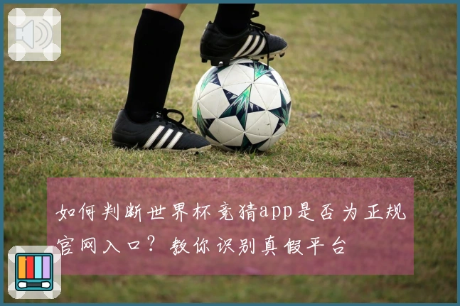 如何判断世界杯竞猜app是否为正规官网入口？教你识别真假平台